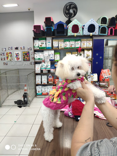Logo da empresa - Mimo Pet Shop