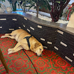 Photo n°7 de l'avis de Christian.e fait le 15/02/2022 à 13:44 sur le  Hotel Cafe Günter Kniebis à Freudenstadt