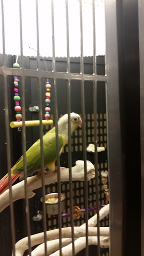 Pet Supply Store «PetSmart», reviews and photos, 1196 W Olive Ave, Merced, CA 95348, USA