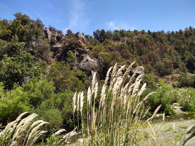 Comentarios y opiniones de Reserva Nacional Río Clarillo