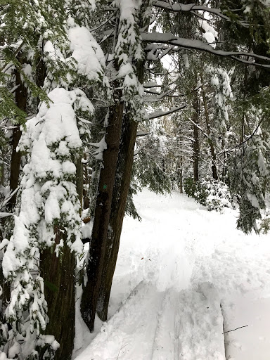 Ski Resort «High Point Cross Country Ski Center», reviews and photos, 1480 NJ-23, Sussex, NJ 07461, USA