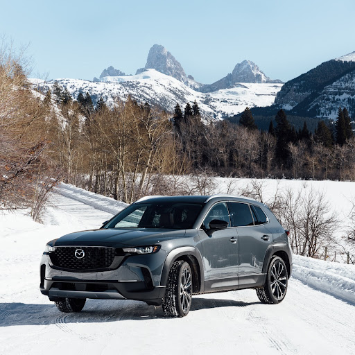 Mazda Dealer «Walser Mazda», reviews and photos, 14720 Buck Hill Rd, Burnsville, MN 55306, USA