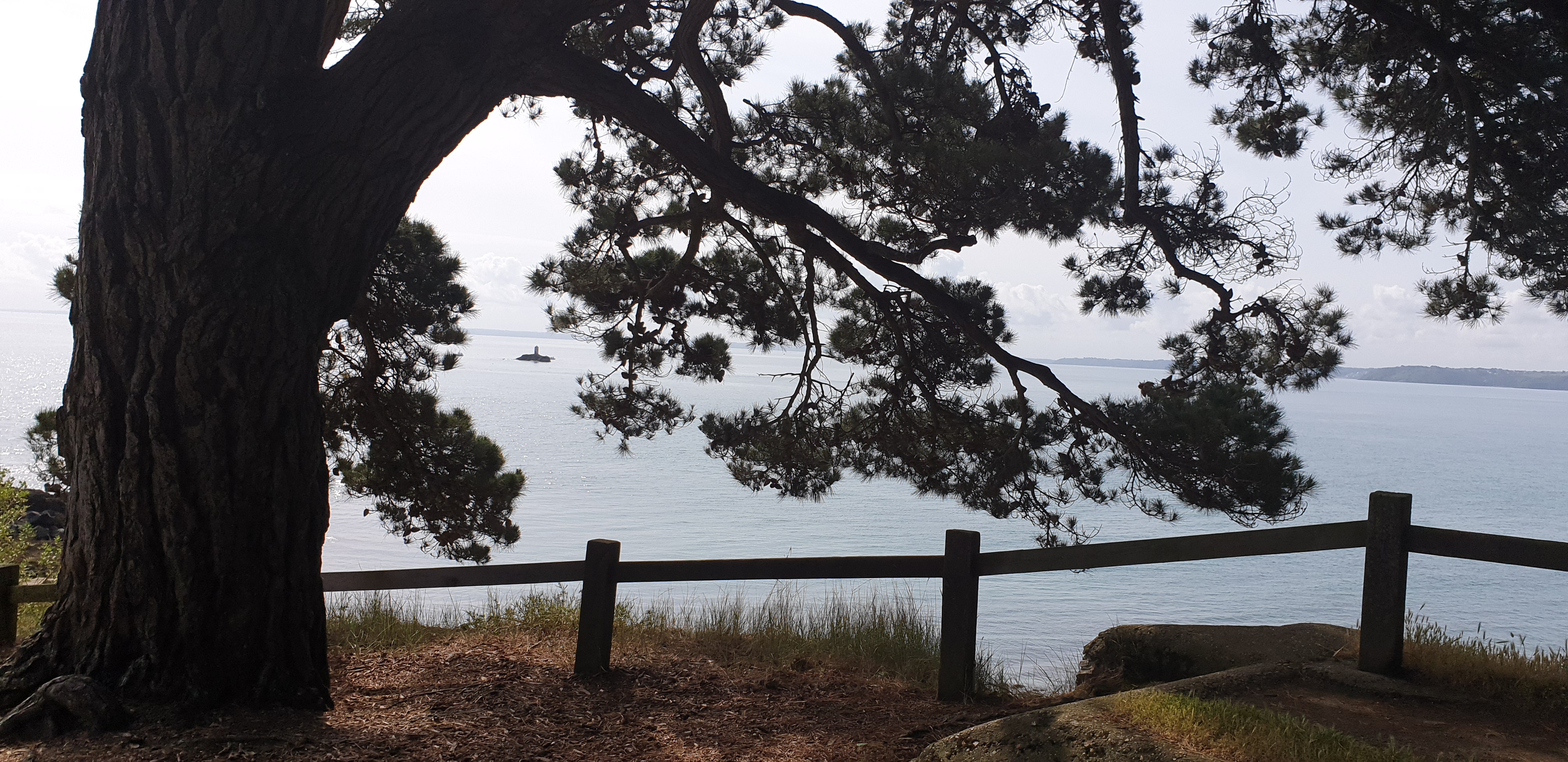 Photo n° 3 de l'avis de Chriss.e fait le 12/06/2019 à 12:30