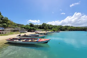 Oracabessa Bay Fish Sanctuary image