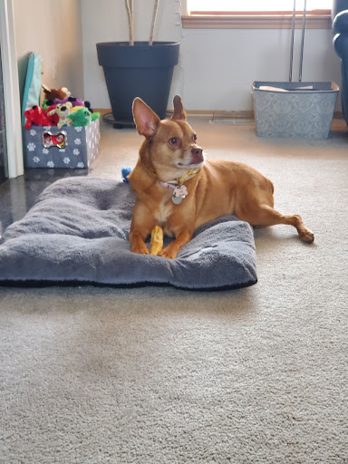 Animal Feed Store «Reber Ranch», reviews and photos, 28606 132nd Ave SE, Kent, WA 98042, USA