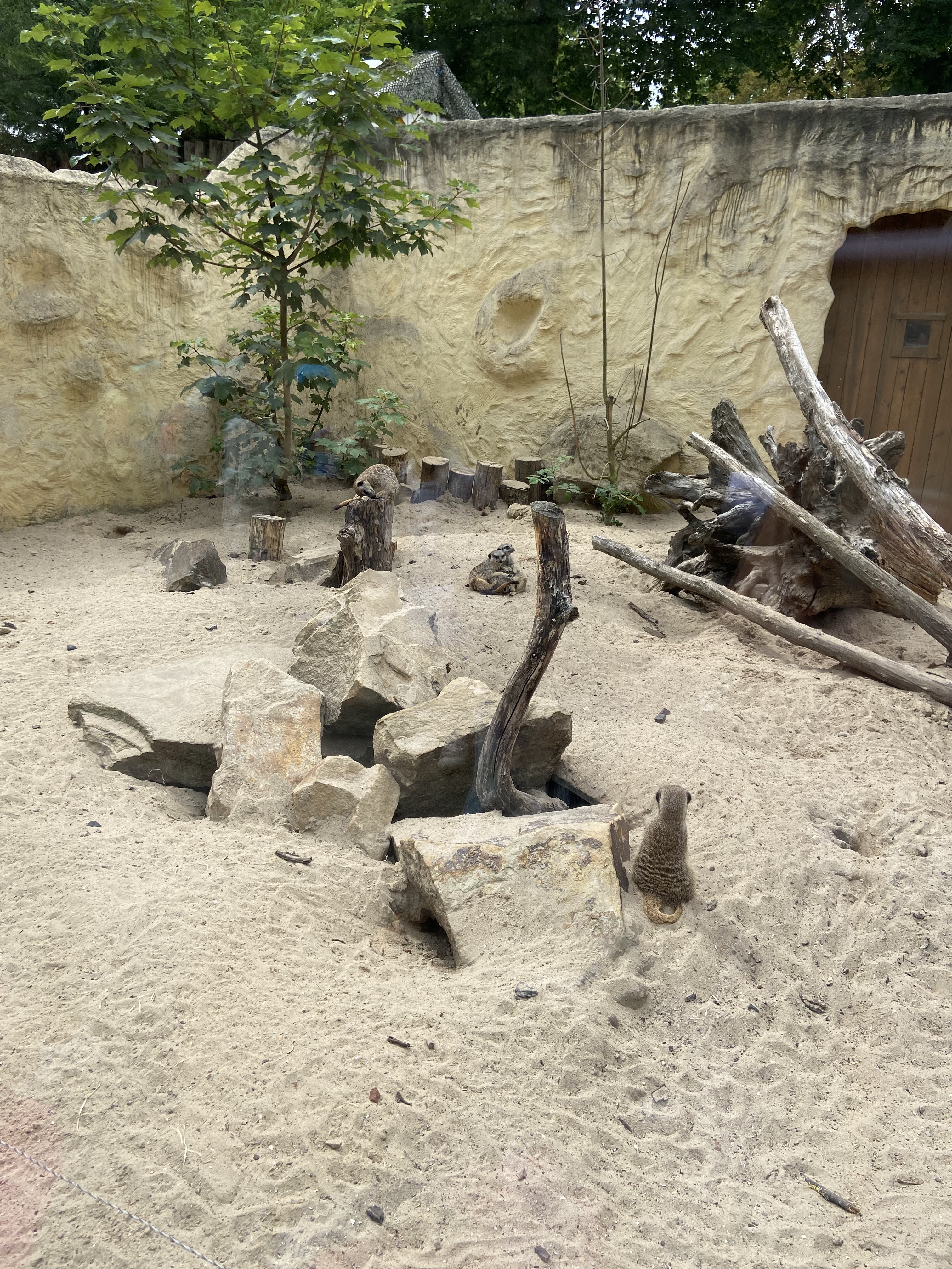 Photo n° 2 de l'avis de Sandy. fait le 26/07/2022 à 07:35