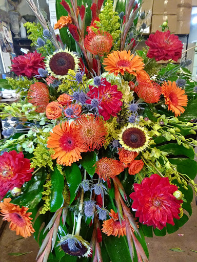 Florist «Alamo Plants & Petals», reviews and photos, 119 W Sunset Rd, San Antonio, TX 78209, USA