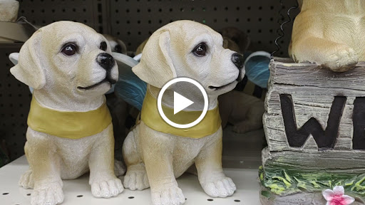 Discount Store «Big Lots», reviews and photos, 35507 Ford Rd, Westland, MI 48185, USA