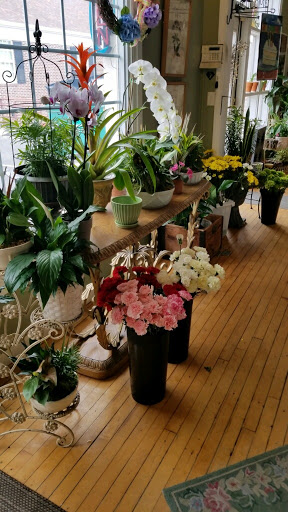 Florist «Agnew Florist-Watertown», reviews and photos, 587 Main St, Watertown, CT 06795, USA