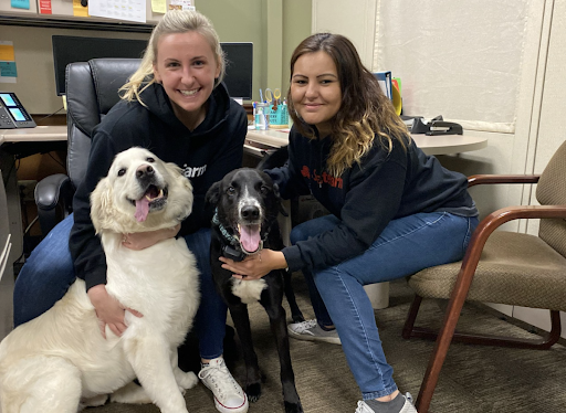 Auto Insurance Agency «Michelle Twitchell - State Farm Insurance Agent», reviews and photos