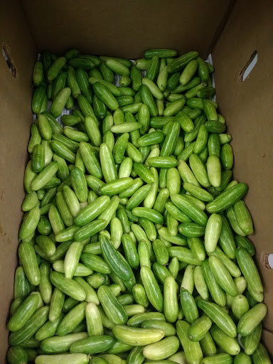 Indian Grocery Store «House of Spices Indian Store», reviews and photos, 9841 Bernwood Pl Dr, Fort Myers, FL 33966, USA