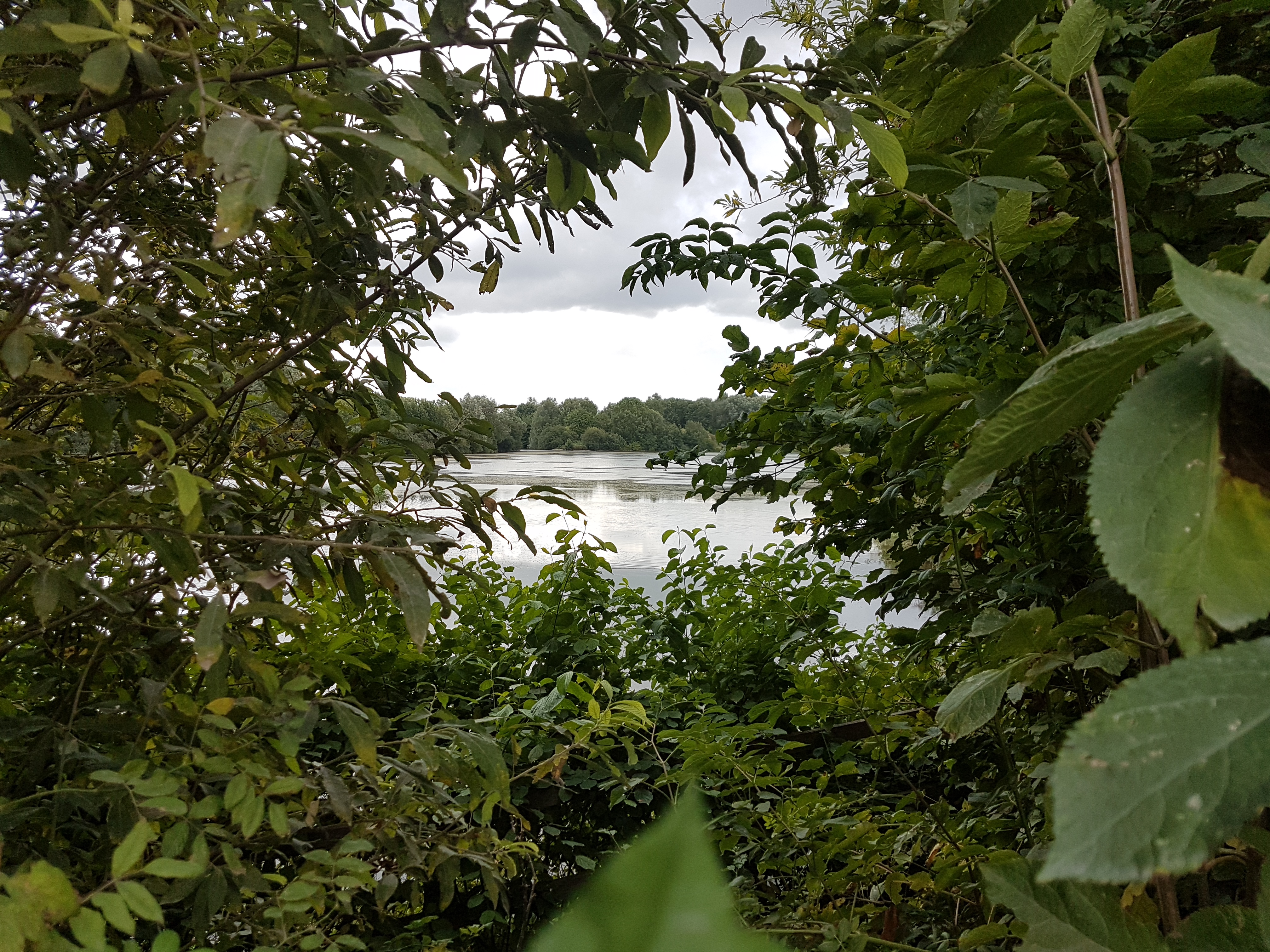 Photo n° 4 de l'avis de Mickaël.P fait le 07/09/2019 à 13:09