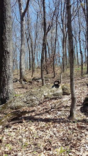 Nature Preserve «Engelmann Woods Natural Area», reviews and photos, 2360 Hwy D, Boles Township, MO 63304, USA