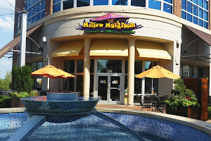 Mellow Mushroom Charlotte - Ballantyne