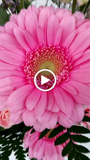 Florist «Gillespie Florists», reviews and photos, 9255 W 10th St, Indianapolis, IN 46234, USA