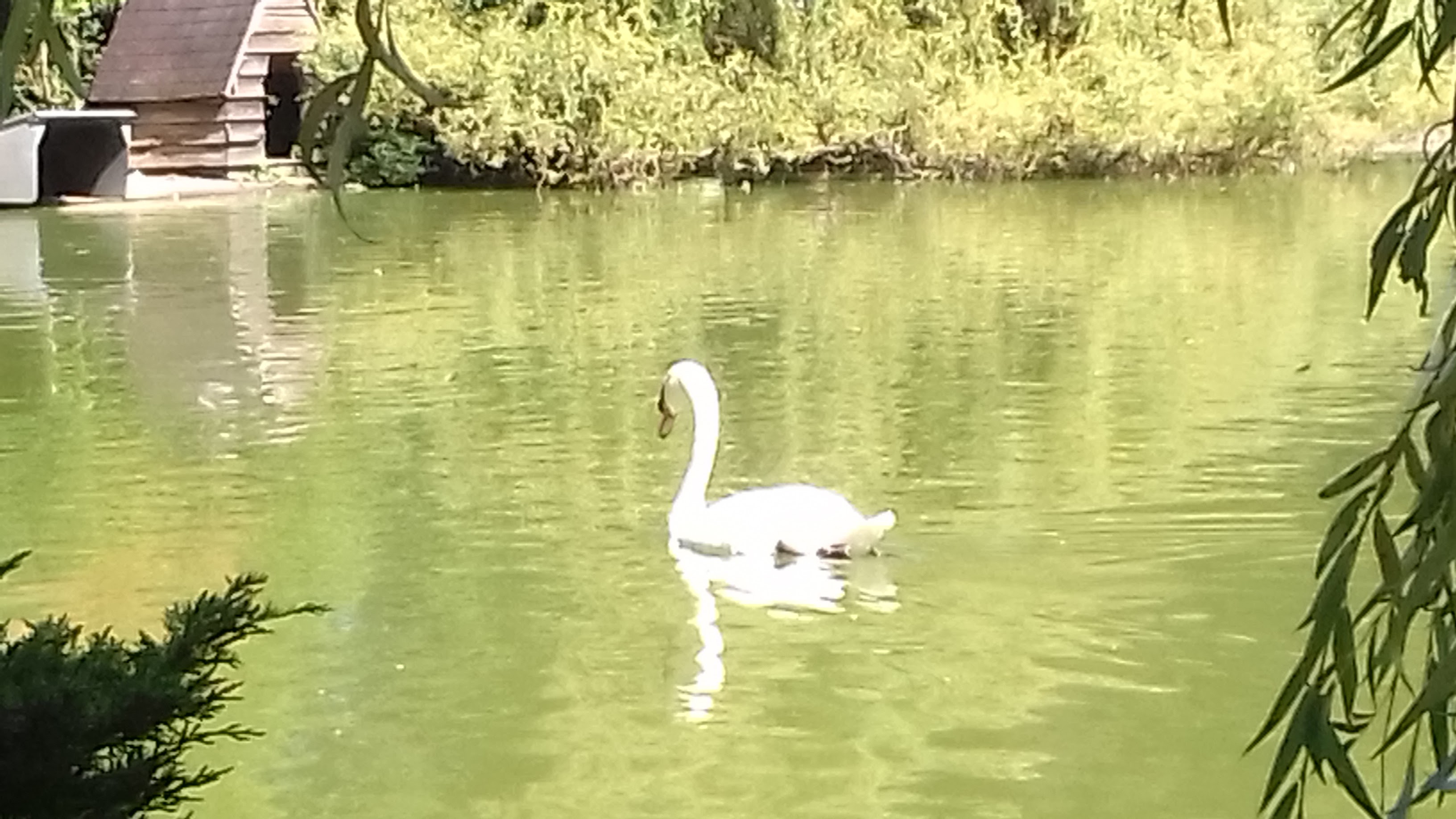 Photo n° 5 de l'avis de Gustavo.i fait le 27/08/2018 à 15:52