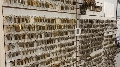 151 S Dooley St Suite 103, Grapevine, TX 76051, USA