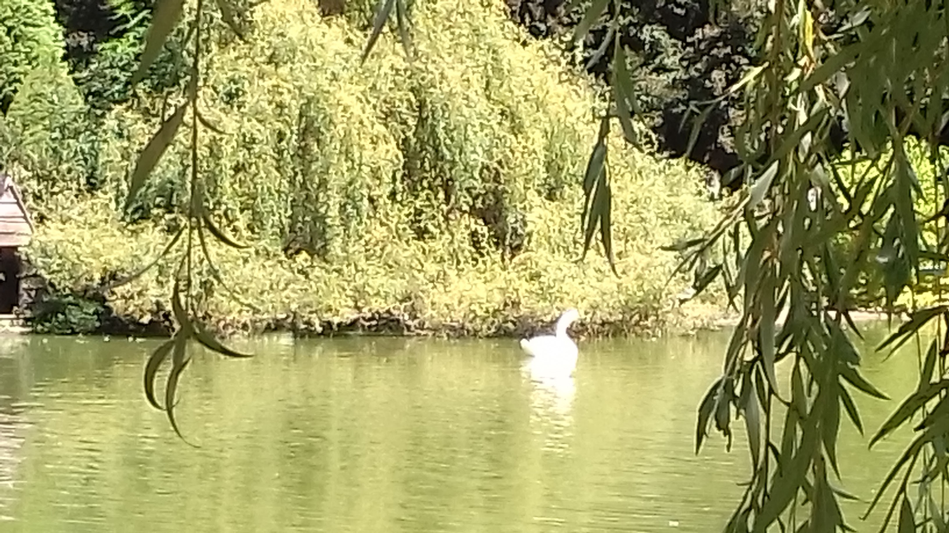 Photo n° 13 de l'avis de Gustavo.i fait le 27/08/2018 à 15:52