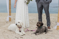 Weddings In Monterey - Photo 7 - Car repair in Monterey, CA, Seaside