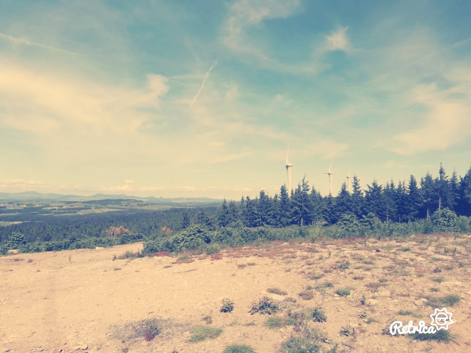 Photo n° 29 de l'avis de Stefe. fait le 27/06/2018 à 14:23