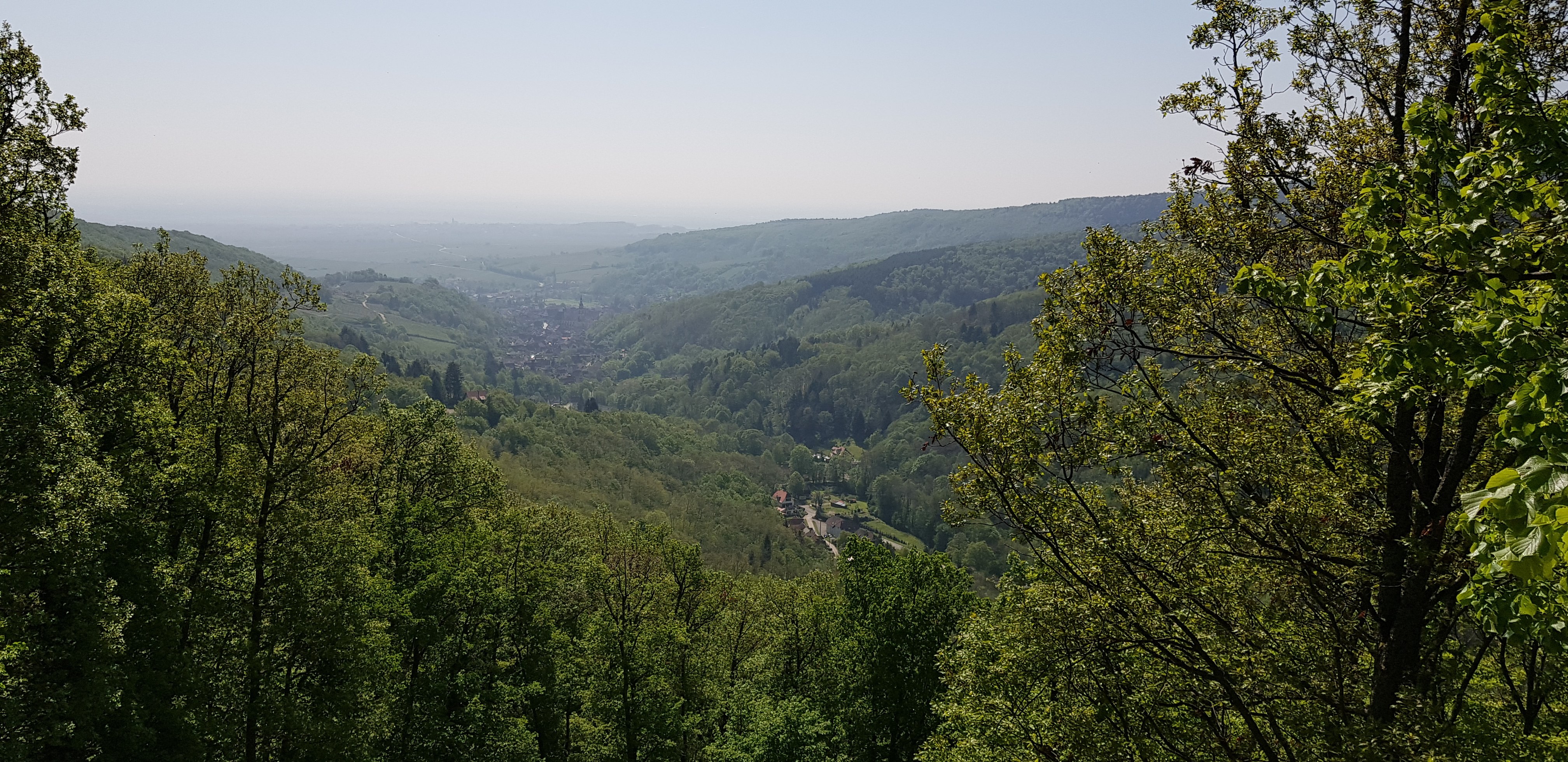 Photo n° 7 de l'avis de Celine.V fait le 02/05/2019 à 07:29