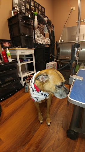 Pet Store «Pet Valu», reviews and photos, 2645 Shillington Rd, Sinking Spring, PA 19608, USA