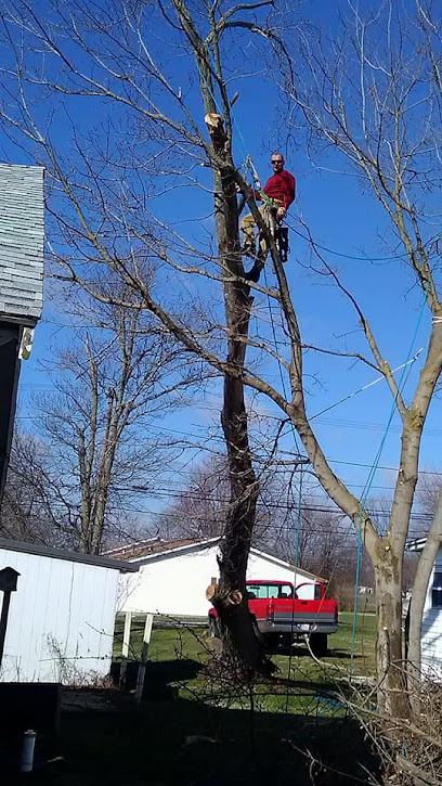 Terre Haute Tree Removal