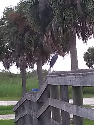 Seafood Restaurant «Lone Cabbage Fish Camp», reviews and photos, 8199 W King St, Cocoa, FL 32926, USA