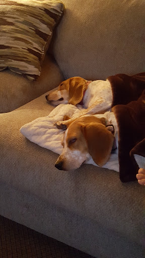 Pet Supply Store «Coastline Pet Supply», reviews and photos, 3530 Northgate Dr, Myrtle Beach, SC 29588, USA