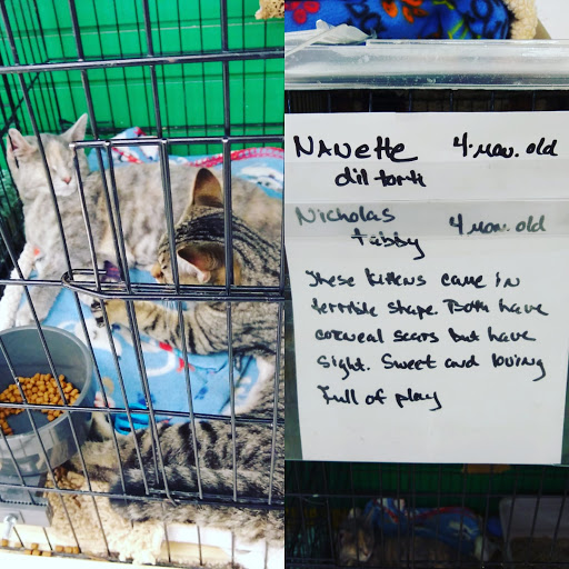 Pet Supply Store «Pet Supplies Plus», reviews and photos, 1380 W Lane Ave, Upper Arlington, OH 43221, USA