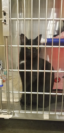 Pet Supply Store «PetSmart», reviews and photos, 1705 Mall of Georgia Blvd, Buford, GA 30519, USA