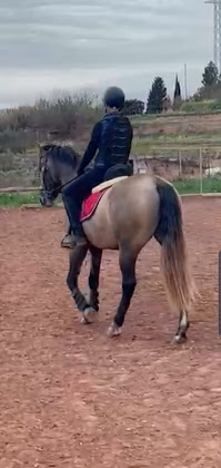 Cheval Casa de camp Cal Santacreu 08242 Manresa