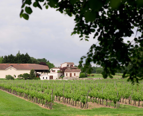 Domaine du Grand Mayne à Villeneuve-de-Duras