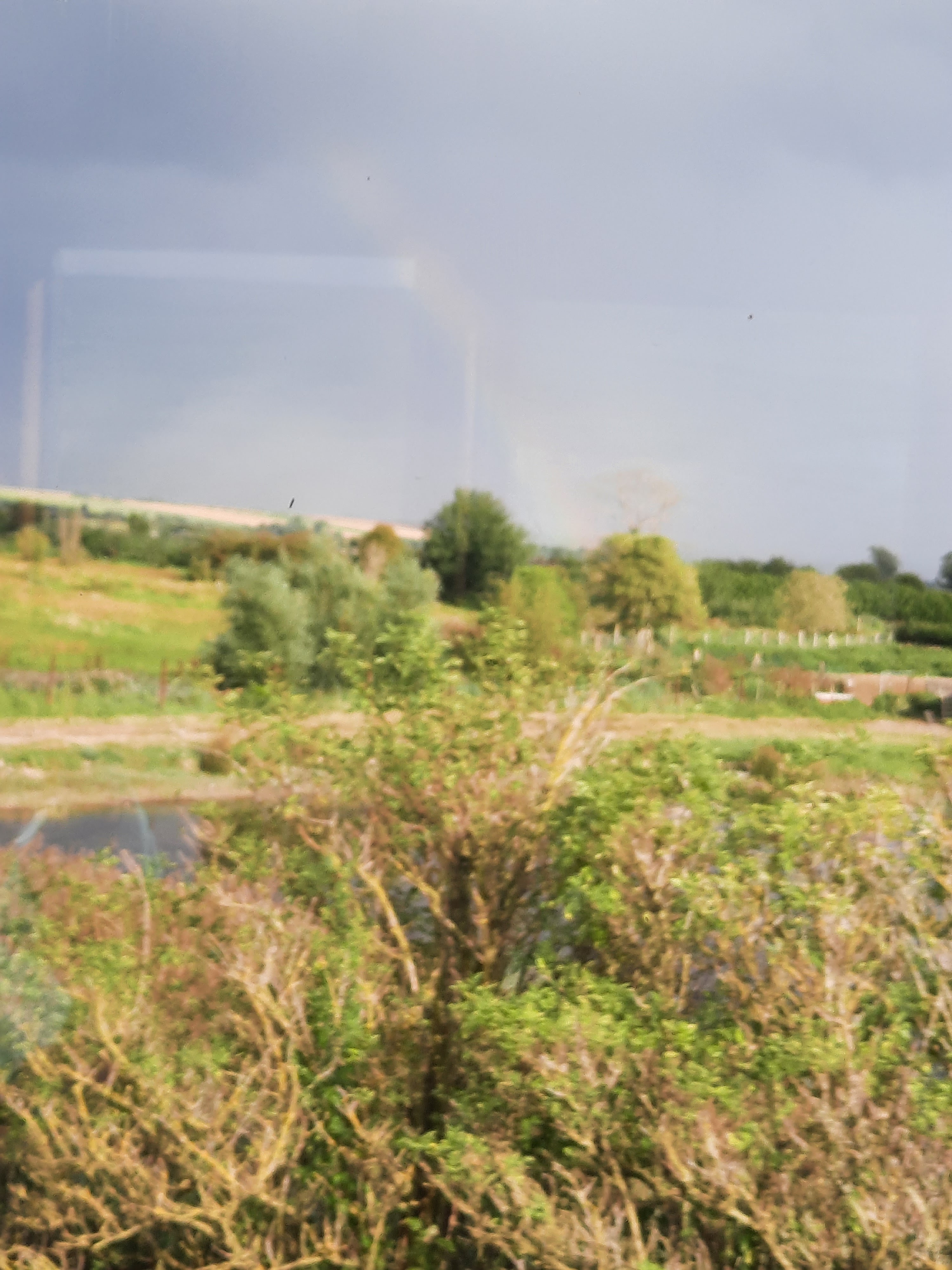 Photo n° 16 de l'avis de Marie.a fait le 09/09/2021 à 17:02