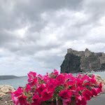 Photo n°1 de l'avis de Francesca. fait le 11/05/2023 à 19:57 sur le  Restaurant Auras à Ischia