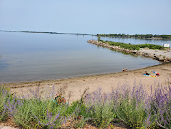 Photo de Waubaushene Beach zone sauvage
