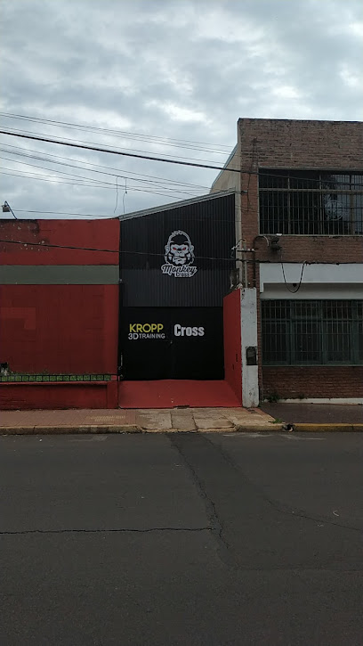 Monkey Crossfit - Salta 2293, Posadas, Misiones, Argentina
