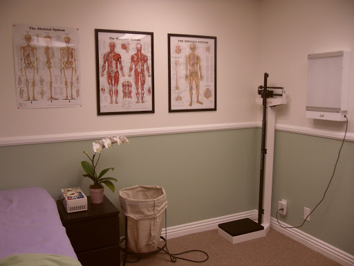 Healing Haven Chiropractic