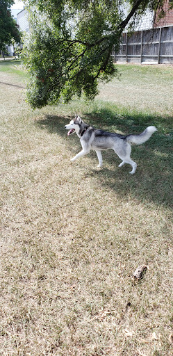 Park «Cottage Grove Park», reviews and photos, 2100 Arabelle St, Houston, TX 77007, USA