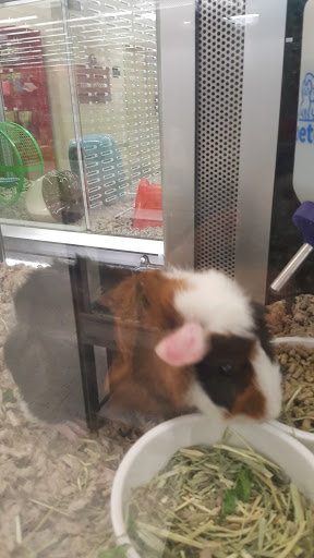 Pet Supply Store «Petco Animal Supplies», reviews and photos, 1400f 75th St, Downers Grove, IL 60516, USA