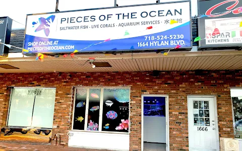 Pieces of the Ocean image