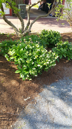 Park «Crispus Attucks Park», reviews and photos, 23 U St NW, Washington, DC 20001, USA