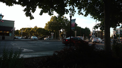 Wine Bar «Savvy Cellar Wine Bar & Wine Shop», reviews and photos, 750 W Evelyn Ave, Mountain View, CA 94041, USA