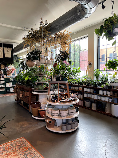 Florist «Flora», reviews and photos, 428 Haywood Rd B, Asheville, NC 28806, USA