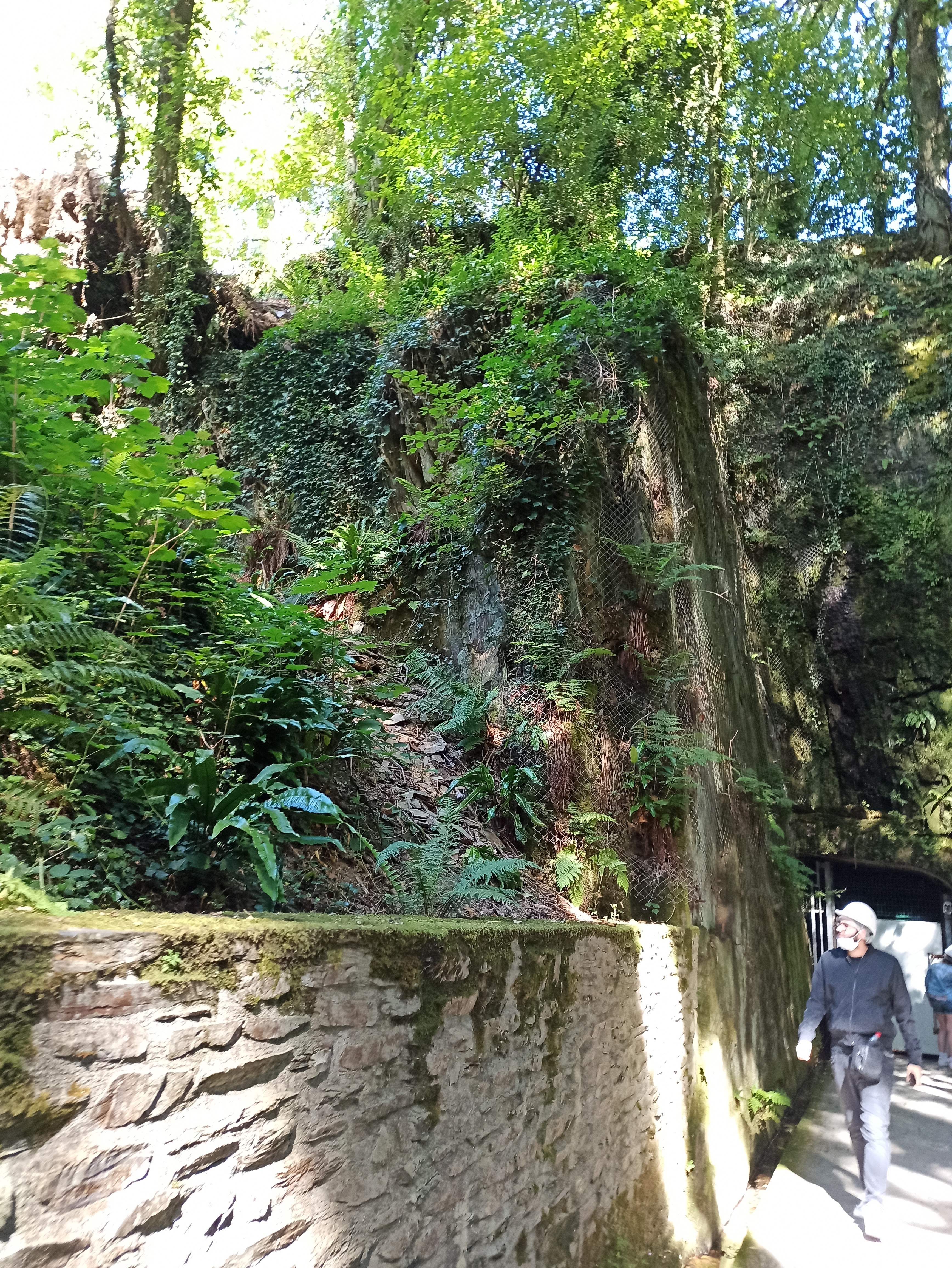 Photo n° 4 de l'avis de Soleil.u fait le 22/07/2020 à 21:32