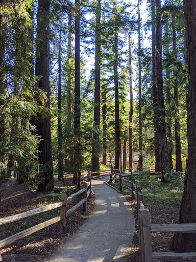 Redwood Grove Nature Preserve