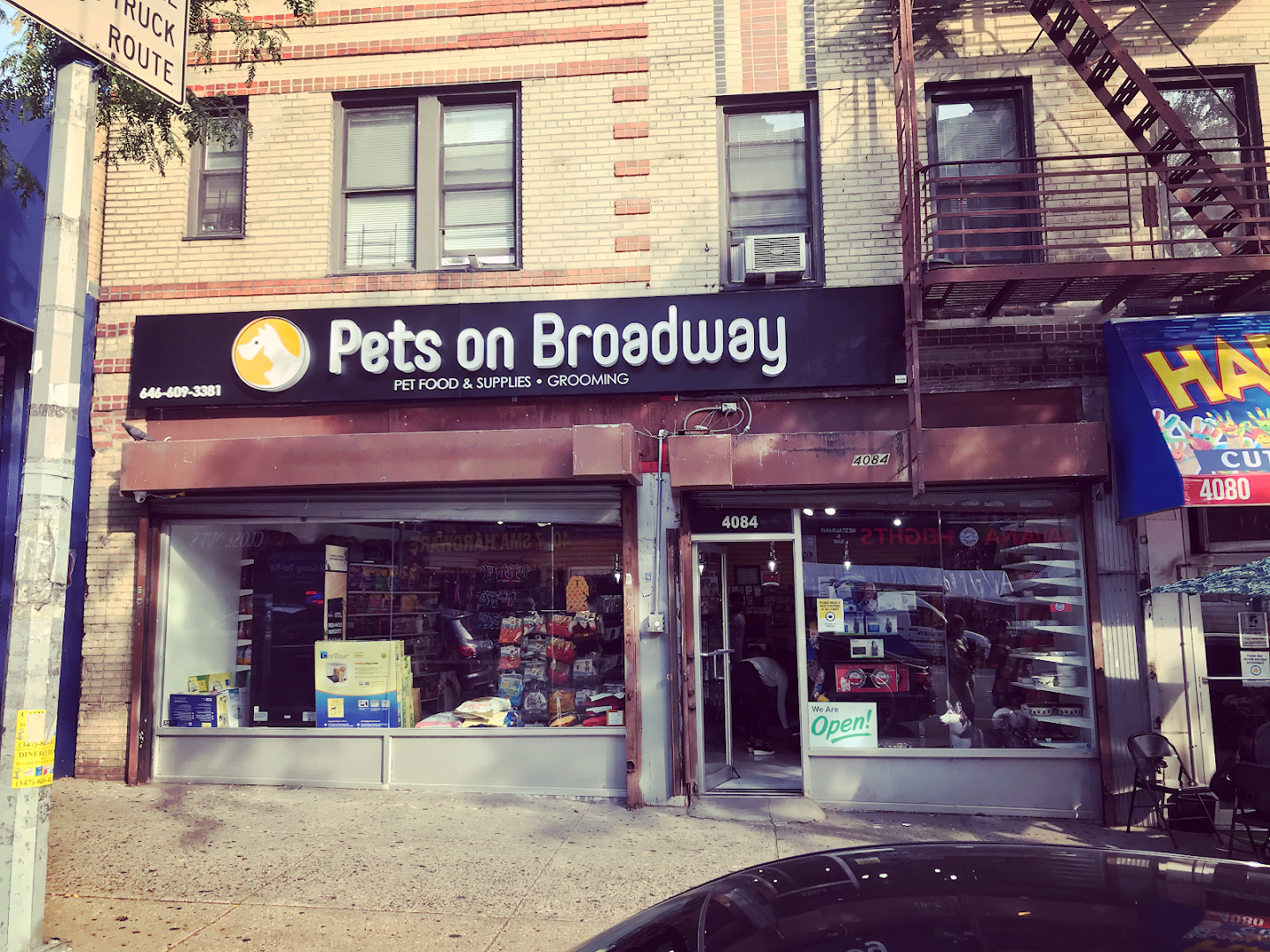 Pets on Broadway NYC 2