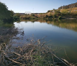 The Nature Conservancy photo