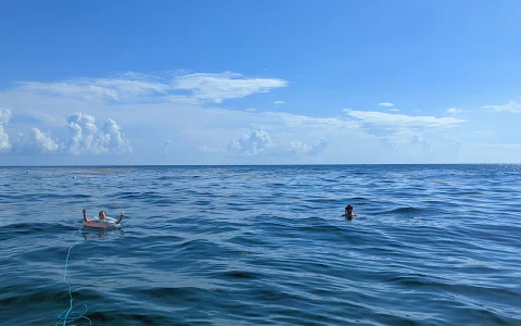 SS Copenhagen Shipwreck image