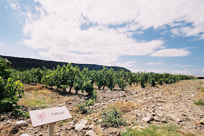 Château Saint-Roch à Maury